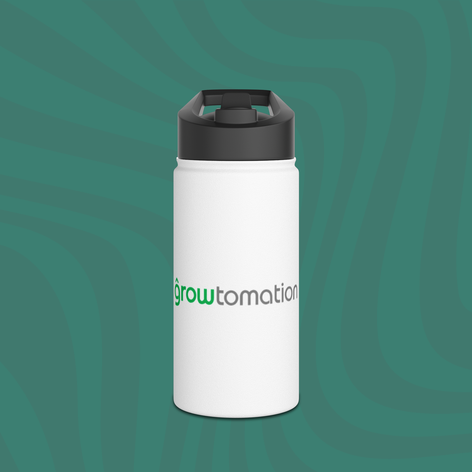 Stainless Steel Water Bottle